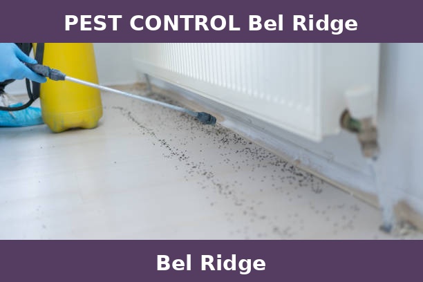 PEST CONTROL Bel Ridge